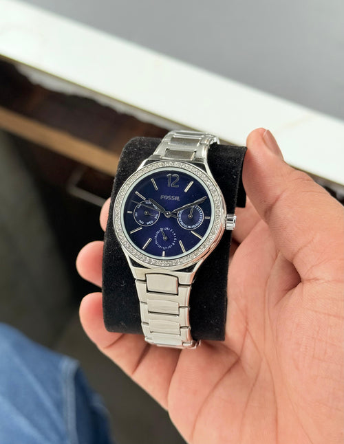 Fossil Eevie Collection