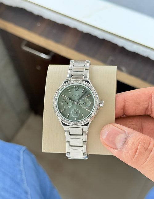 Fossil Eevie Collection