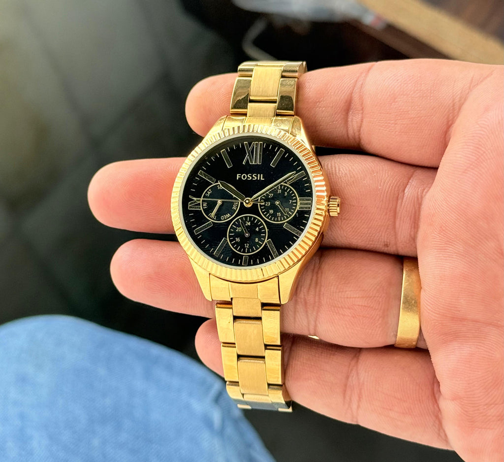 Fossil Rye Collection