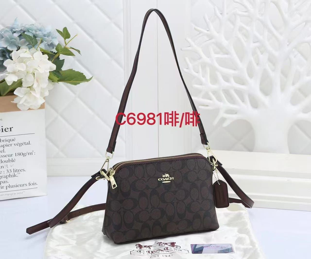 Coach Crossbody Bag