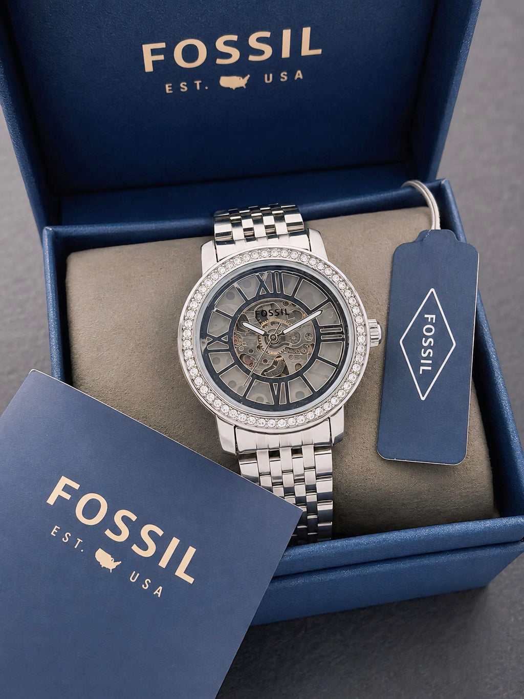 Fossil Curiosity Collection