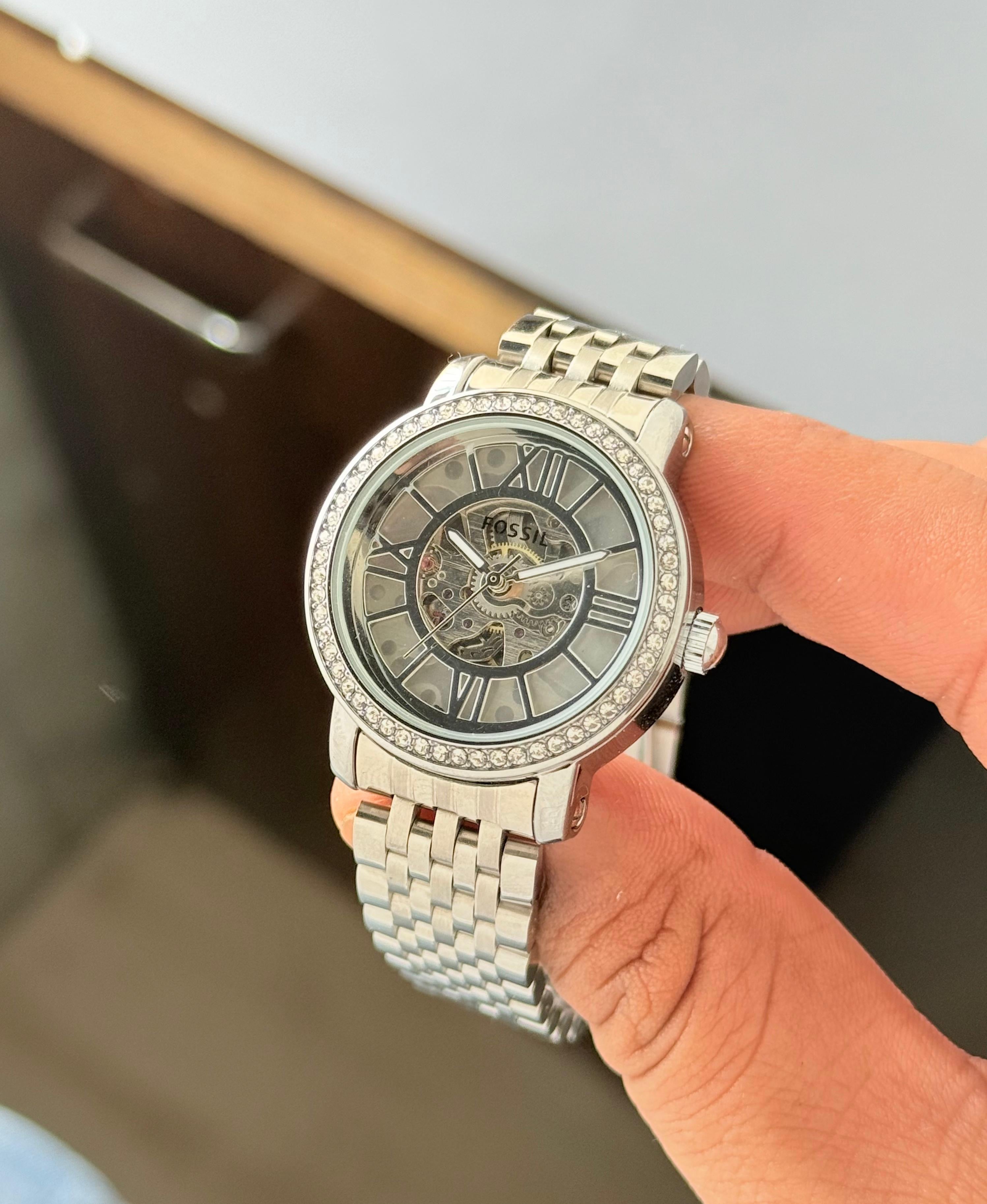 Fossil Curiosity Collection