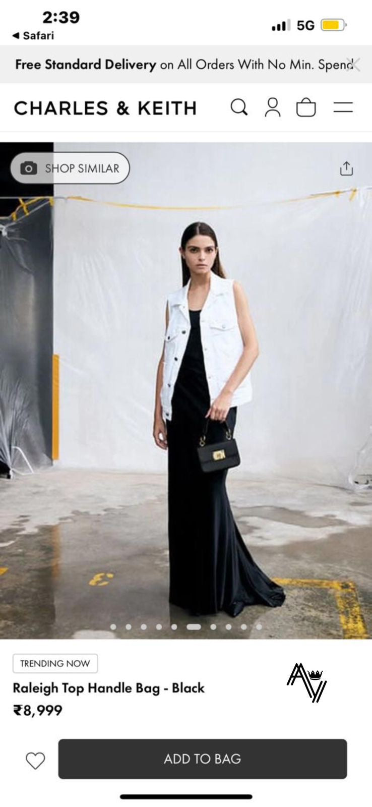 Charles Keith Handbag