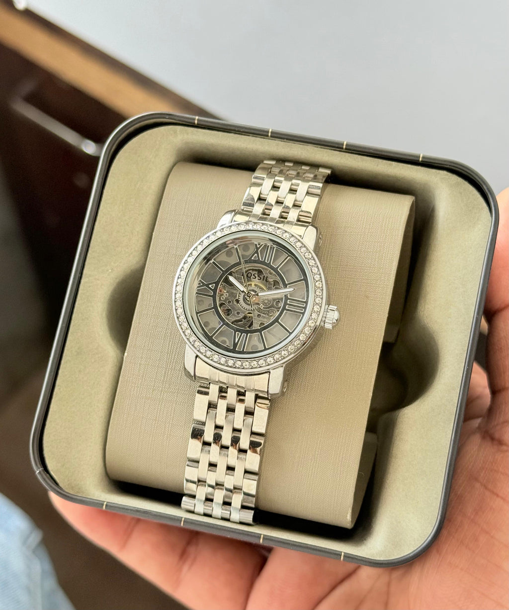 Fossil Curiosity Collection