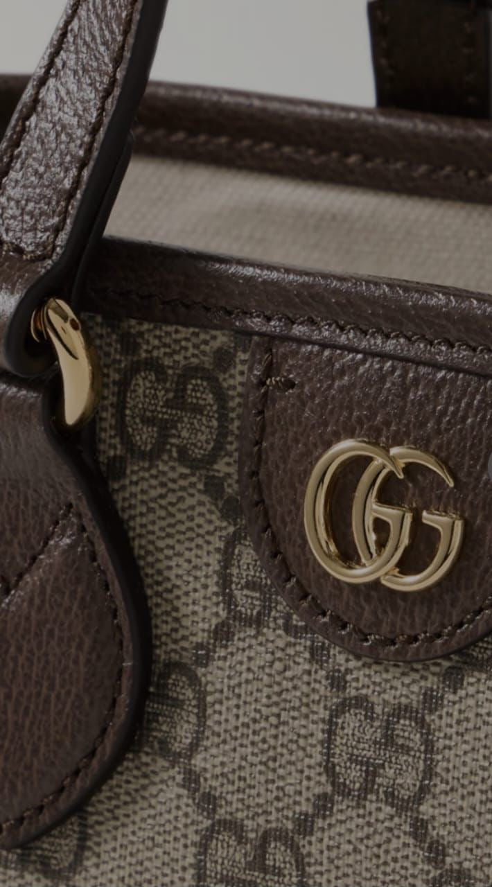 Gucci 2 Piece Handbag