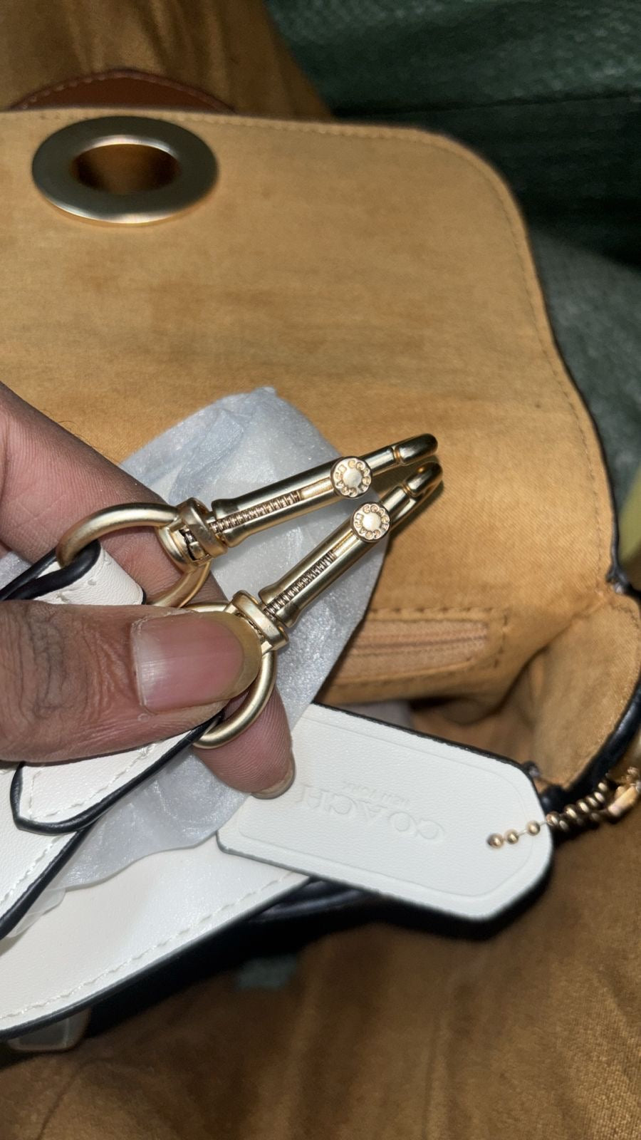 Coach Brie Sling Bag