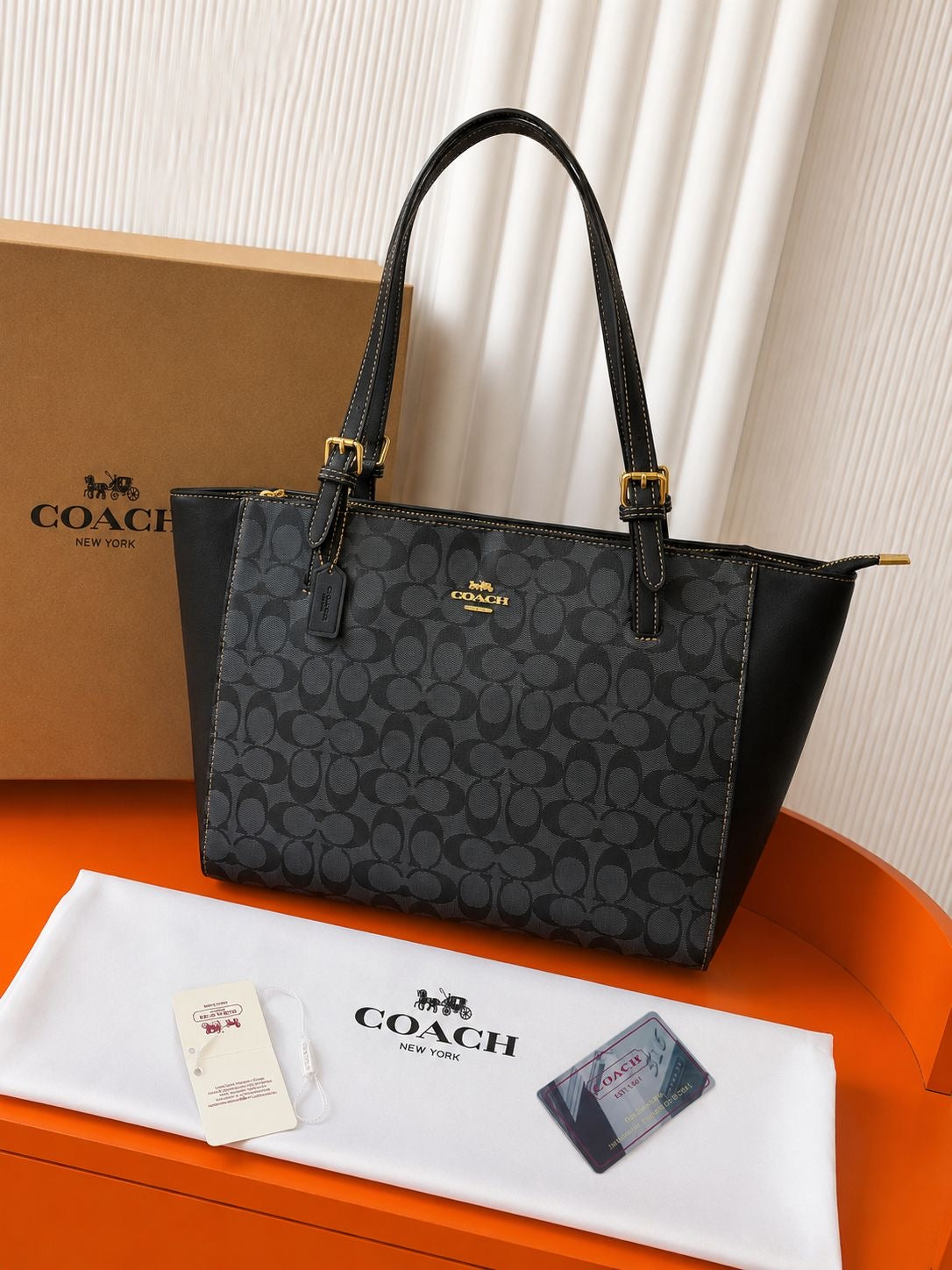 Coach Signature Tote