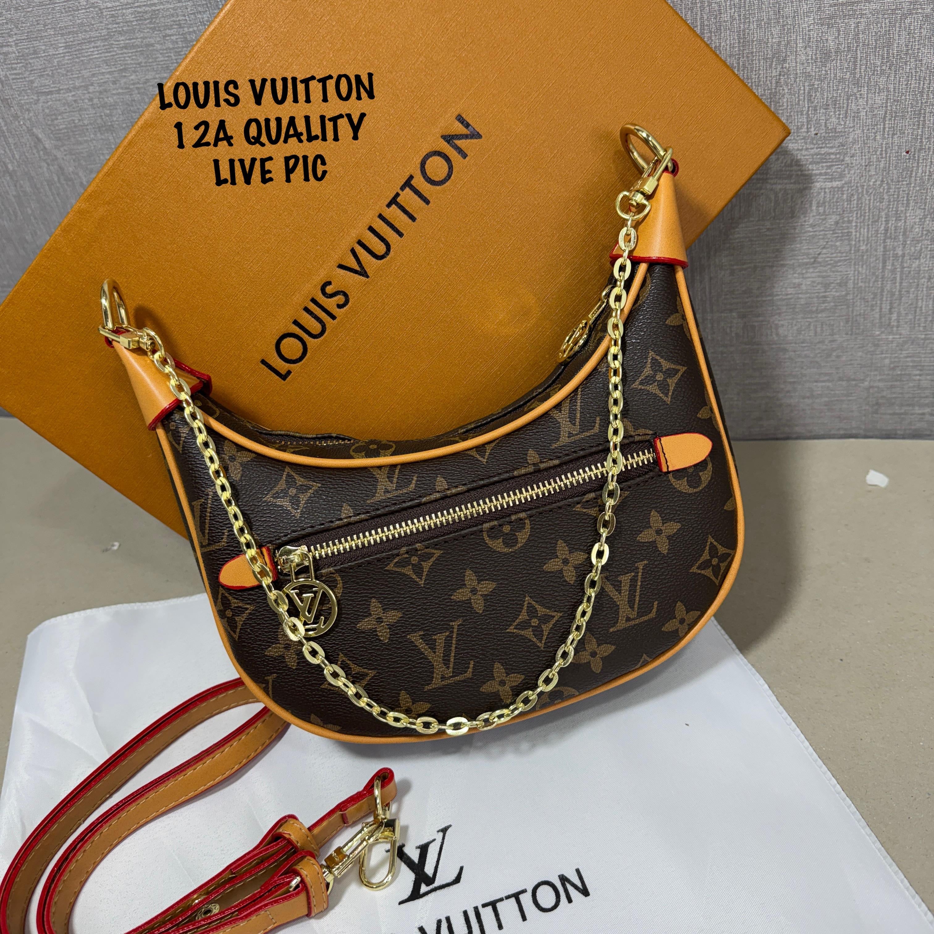 Louis Vuitton Loop Handbag
