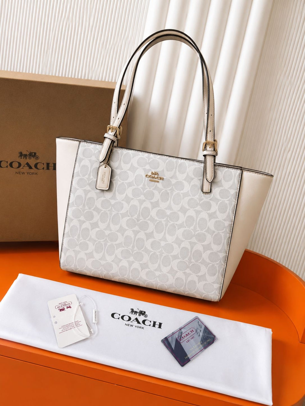 Coach Signature Tote