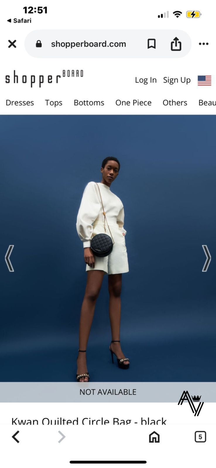 Charles & Keith Kwan Quilted Black Circle Bag