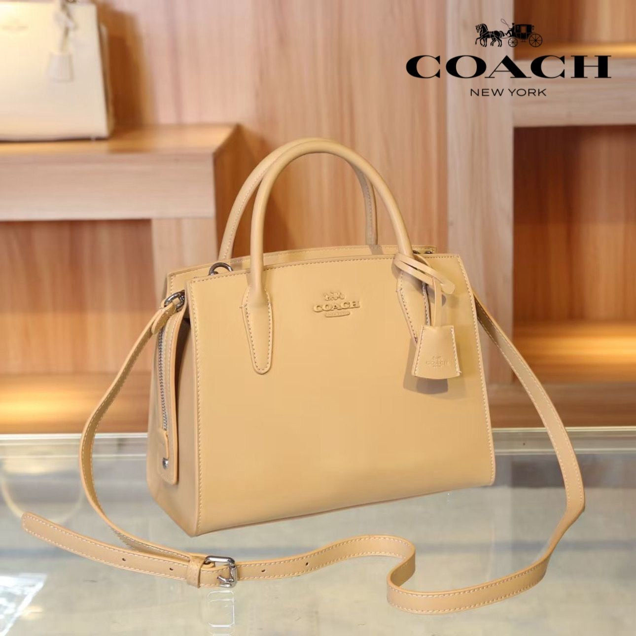 Coach Andrea Carryall Shoulder Bag