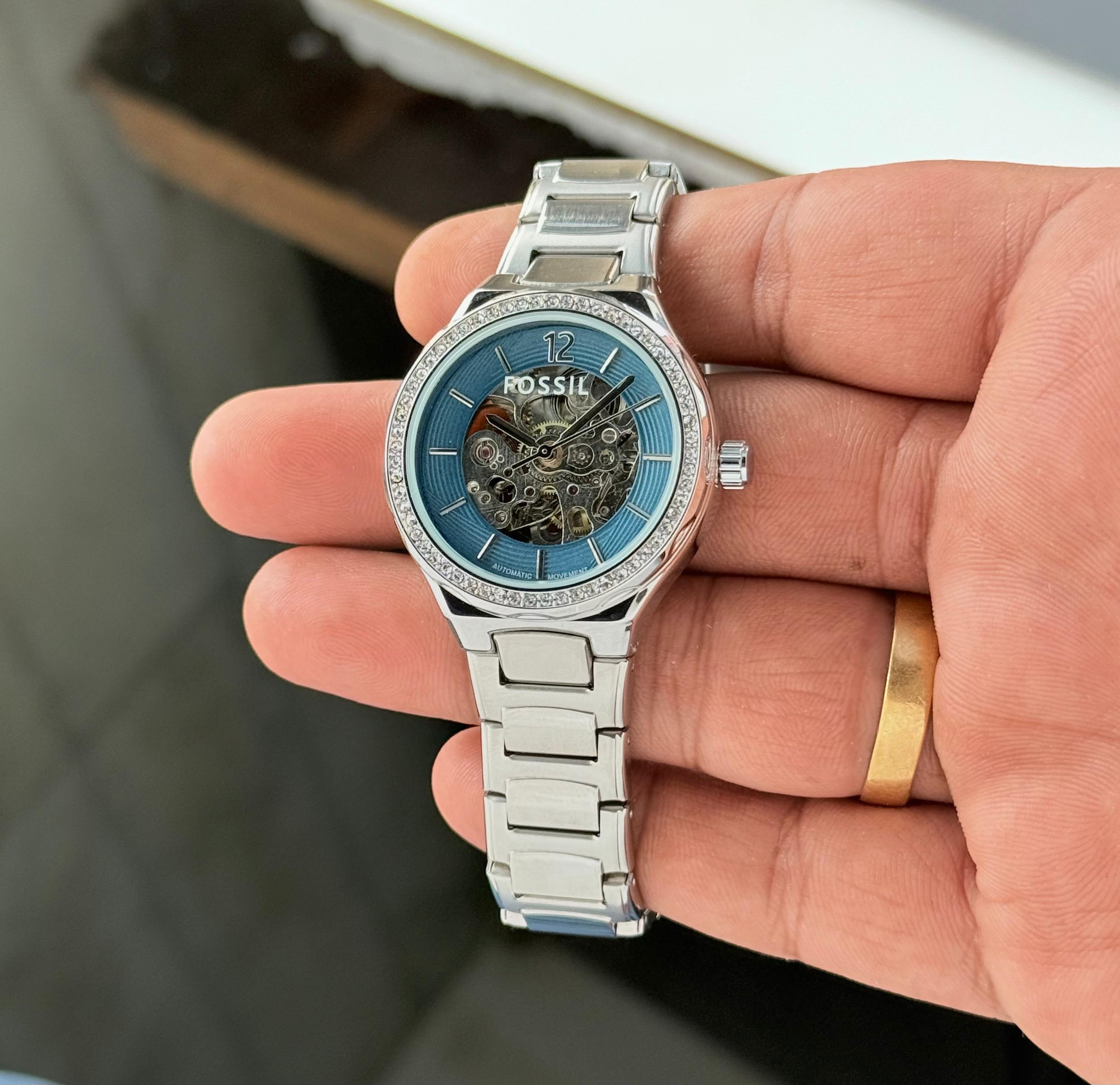 Fossil Eevie Skeleton Collection