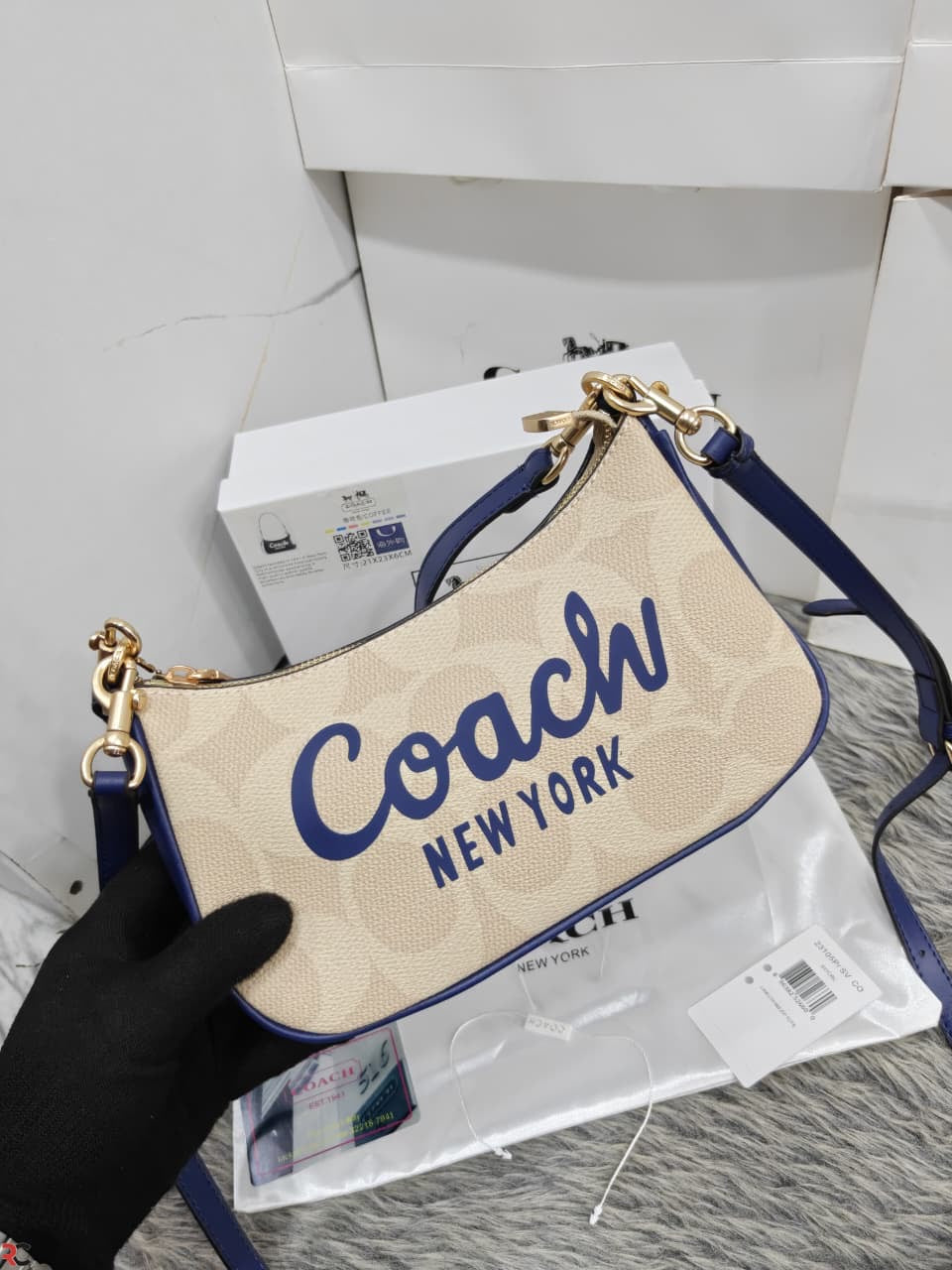 Coach Teri Mini Crossbody Bag
