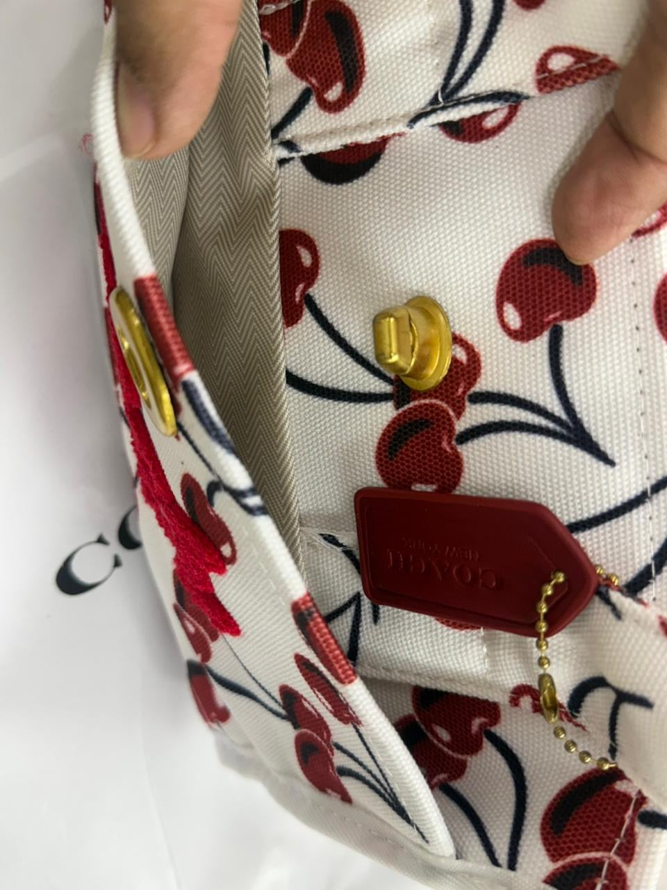 Coach Furry Mini Tote Bag