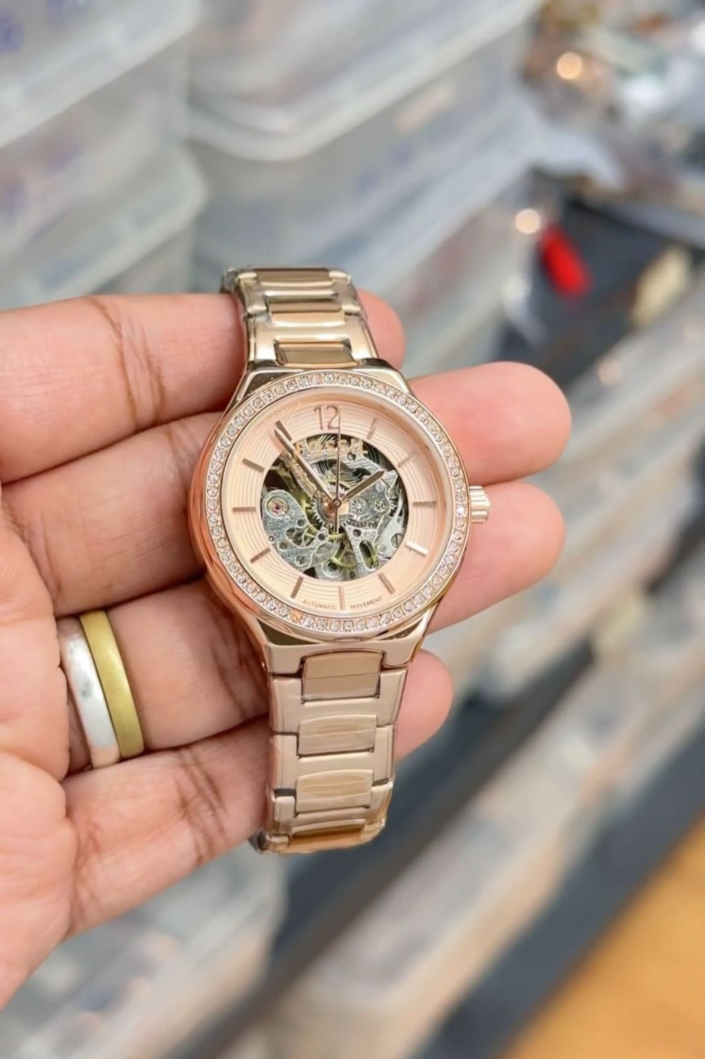 Fossil Eevie Skeleton Collection