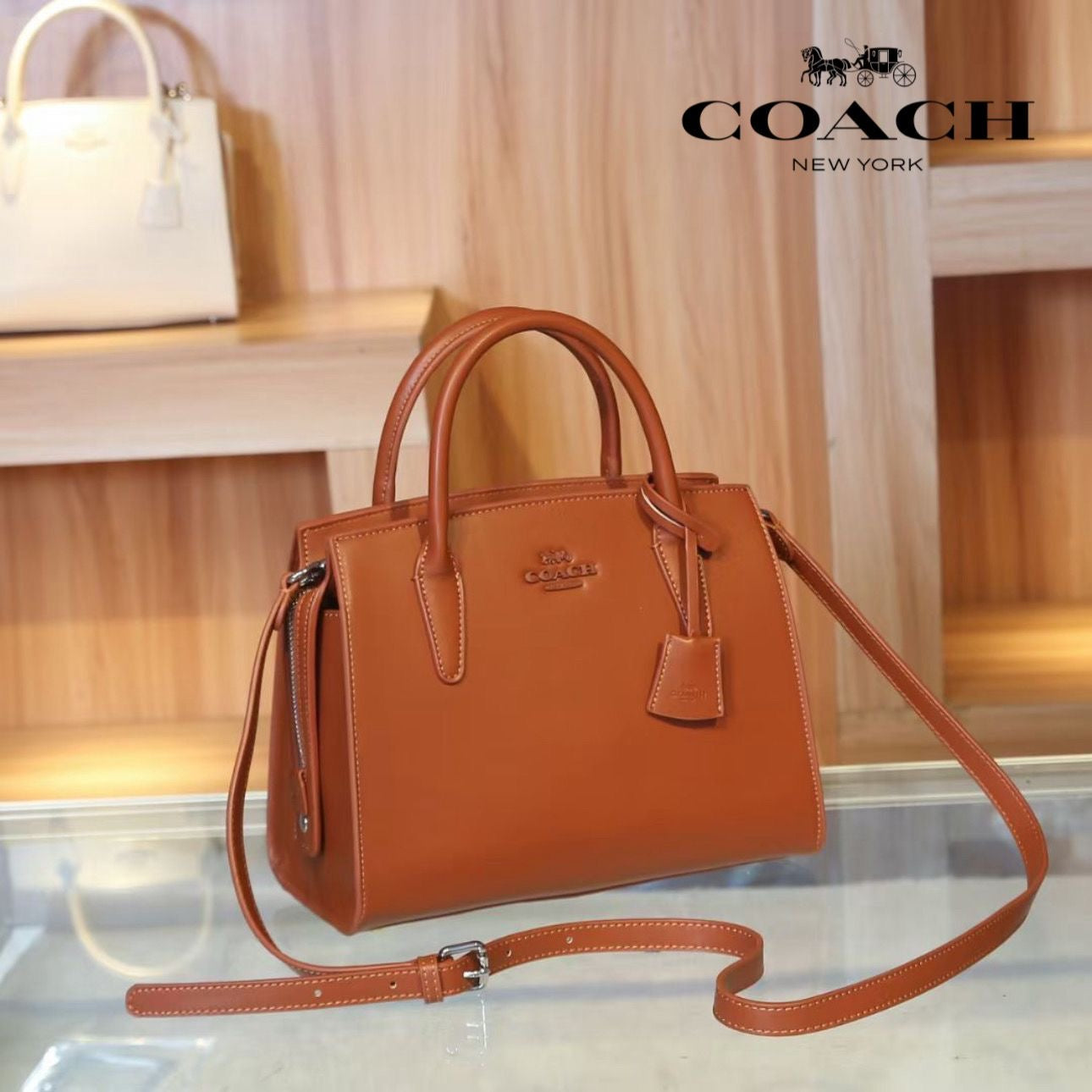 Coach Andrea Carryall Shoulder Bag