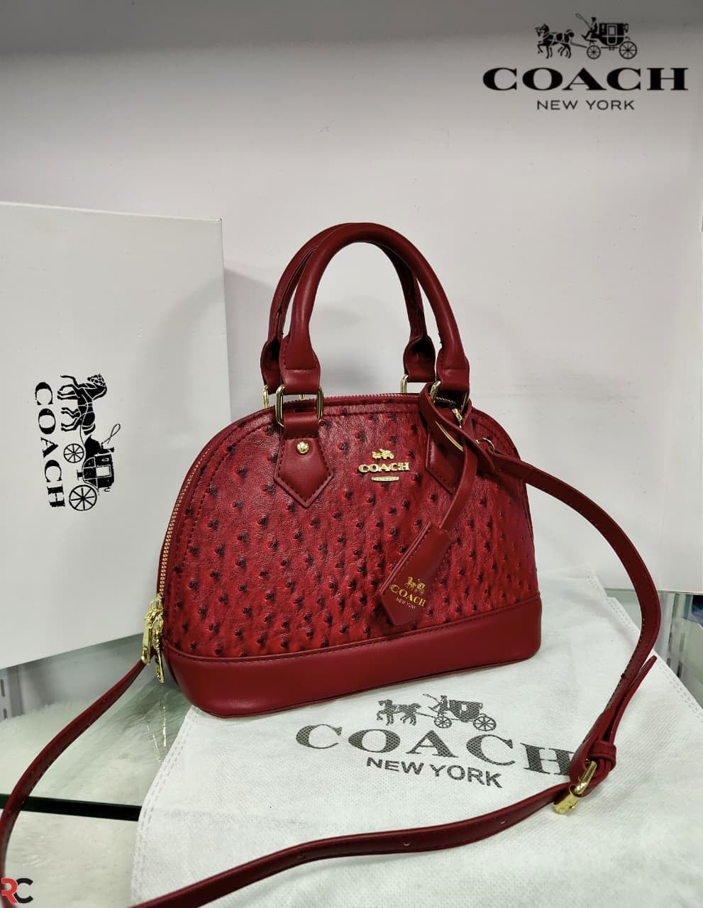 Coach Textured Ostrich Style Alma Bag