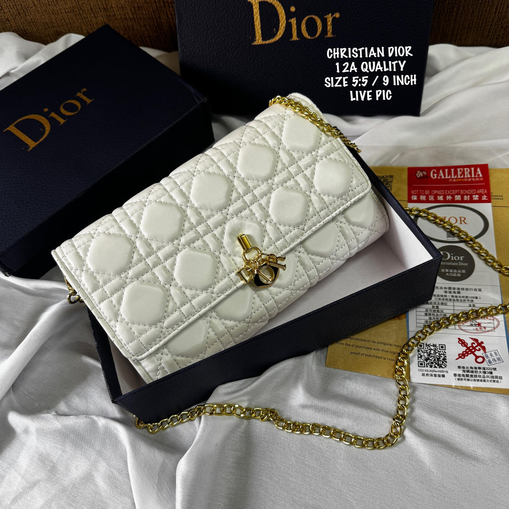 Christian Dior Crossbody Bag