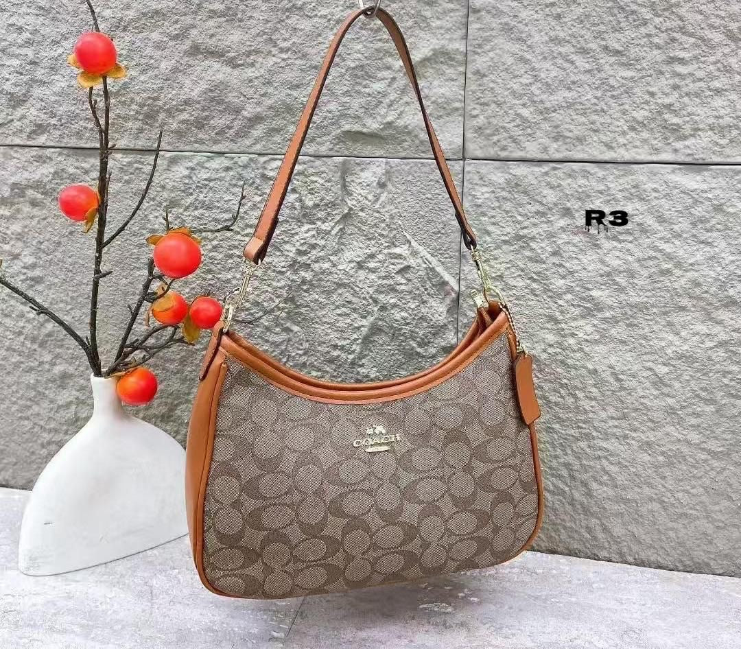 Coach Teri Hobo Shoulder Bag