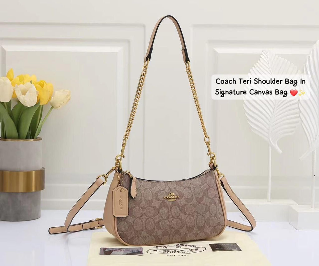 Coach Teri Signature Canvas Bag