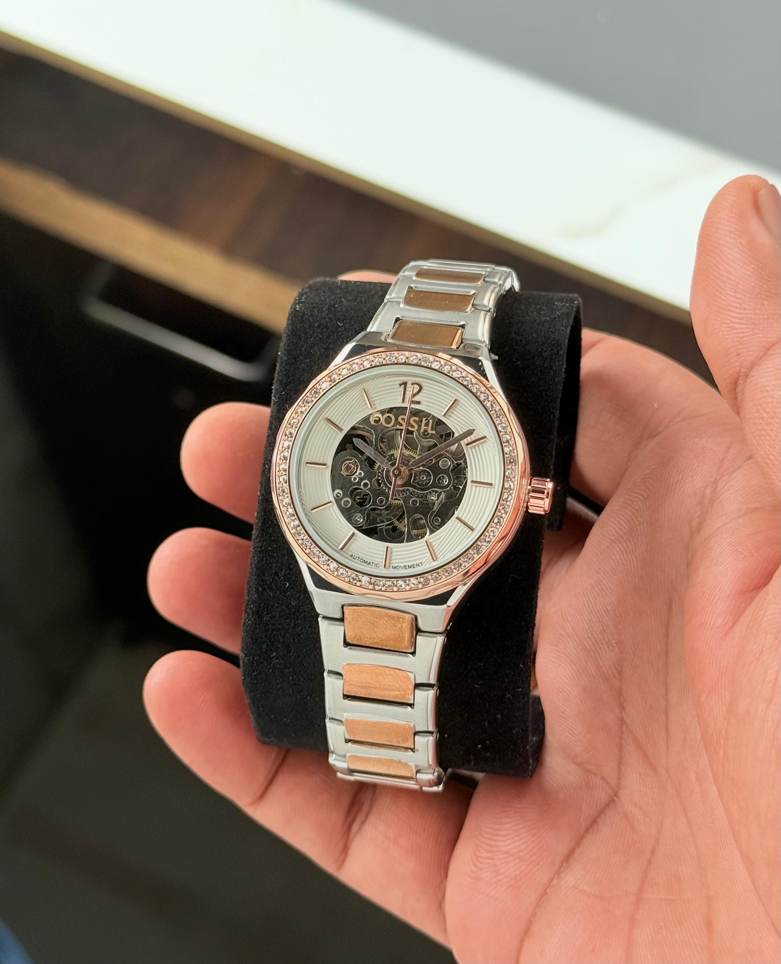 Fossil Eevie Skeleton Collection
