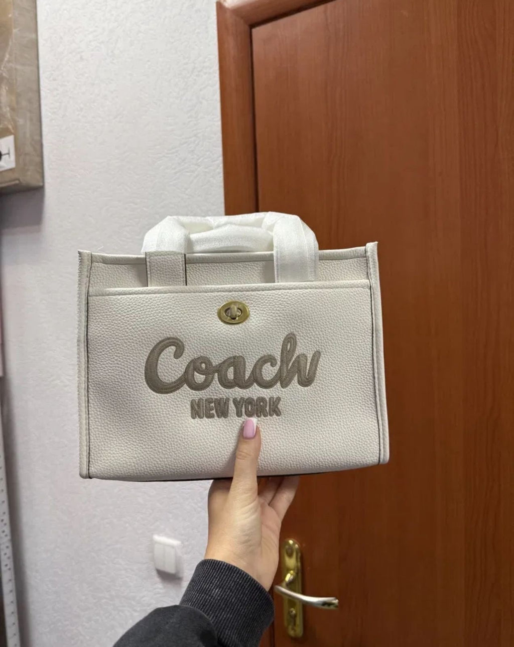 Coach Furry Mini Tote Bag