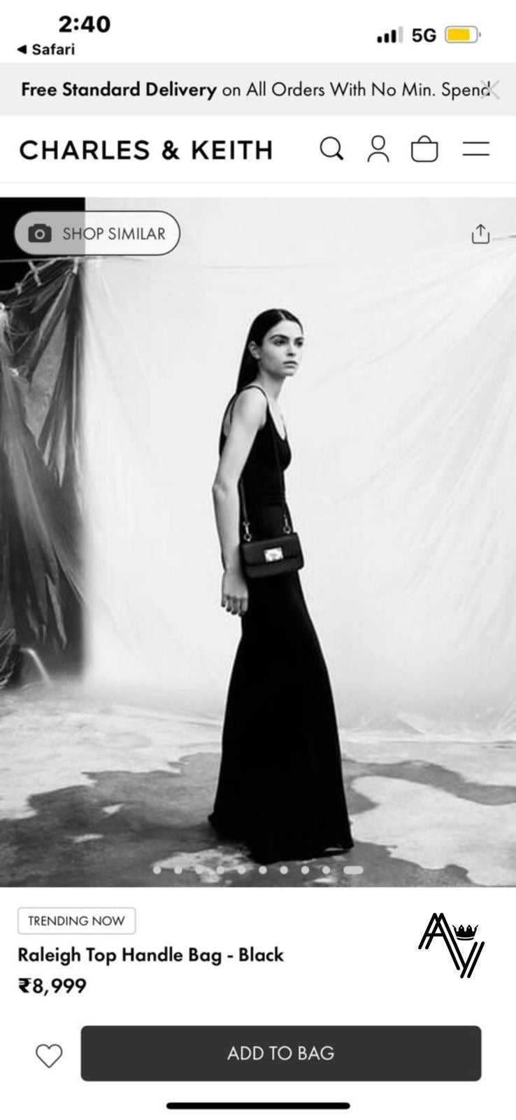 Charles Keith Handbag