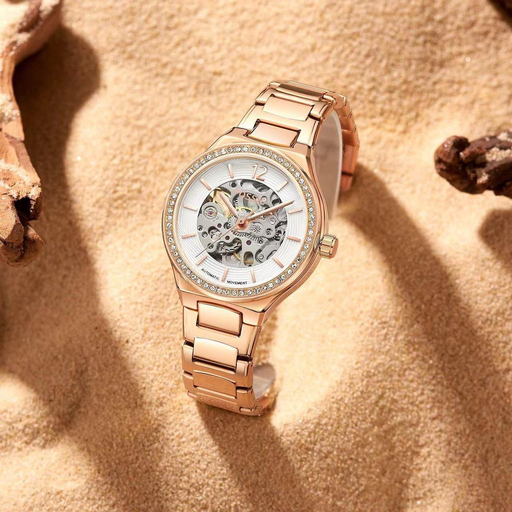 Fossil Eevie Skeleton Collection