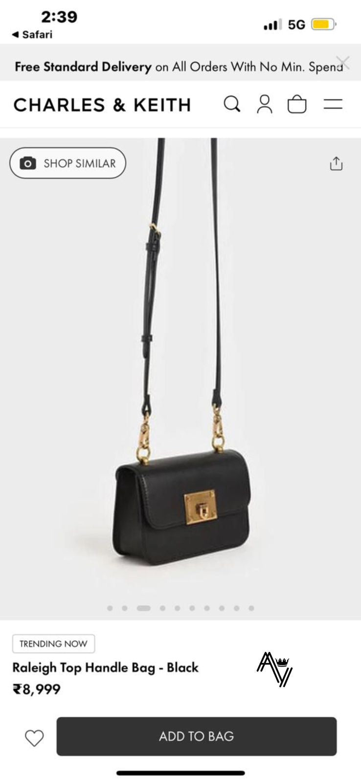 Charles Keith Handbag