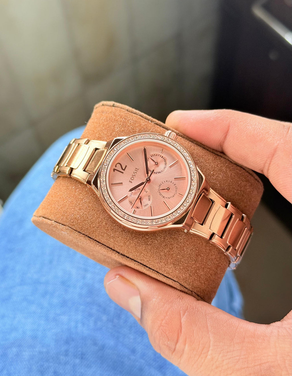 Fossil Eevie Collection