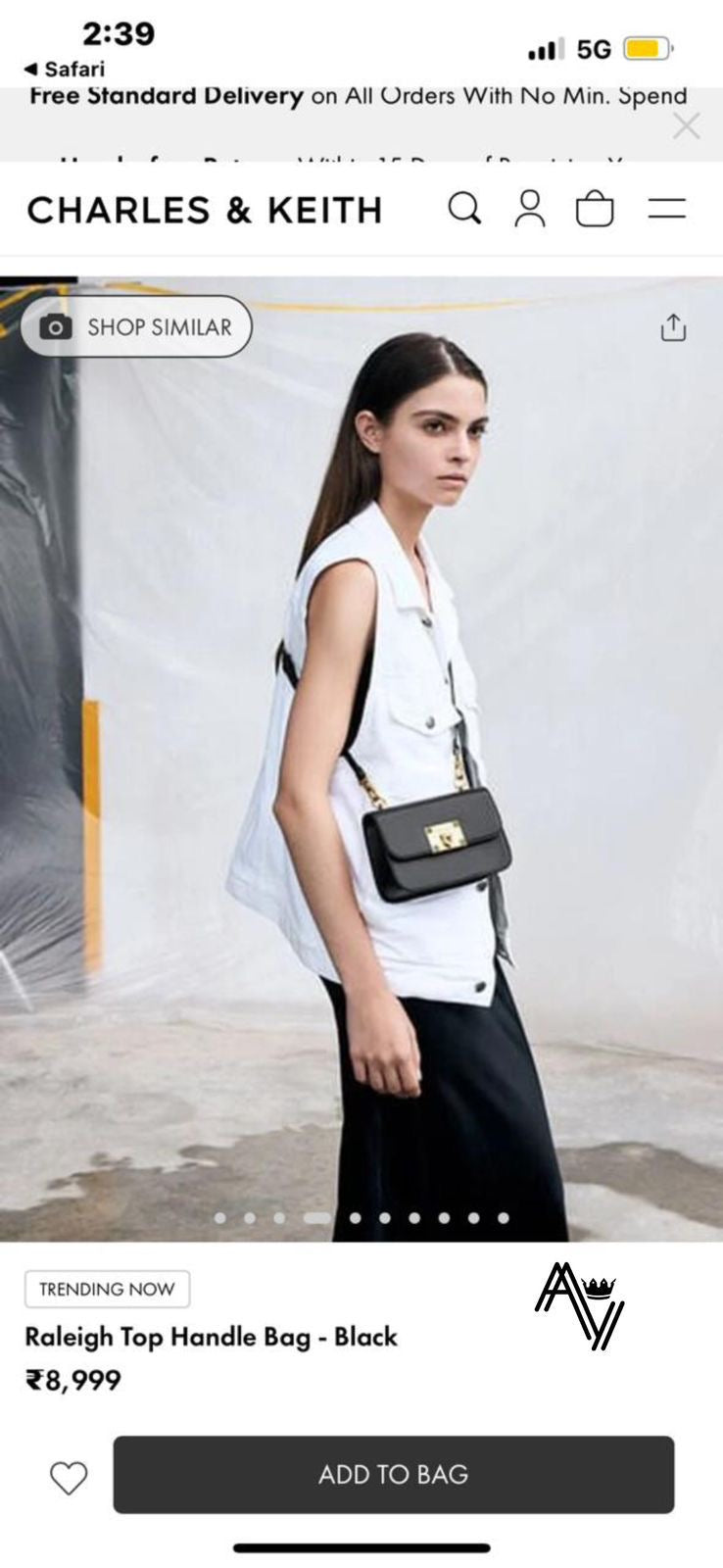 Charles Keith Handbag