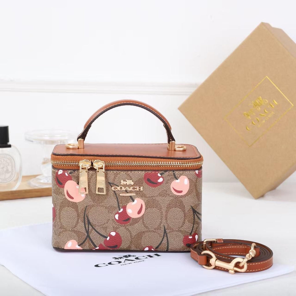 Coach Signature Vanity Case Bag