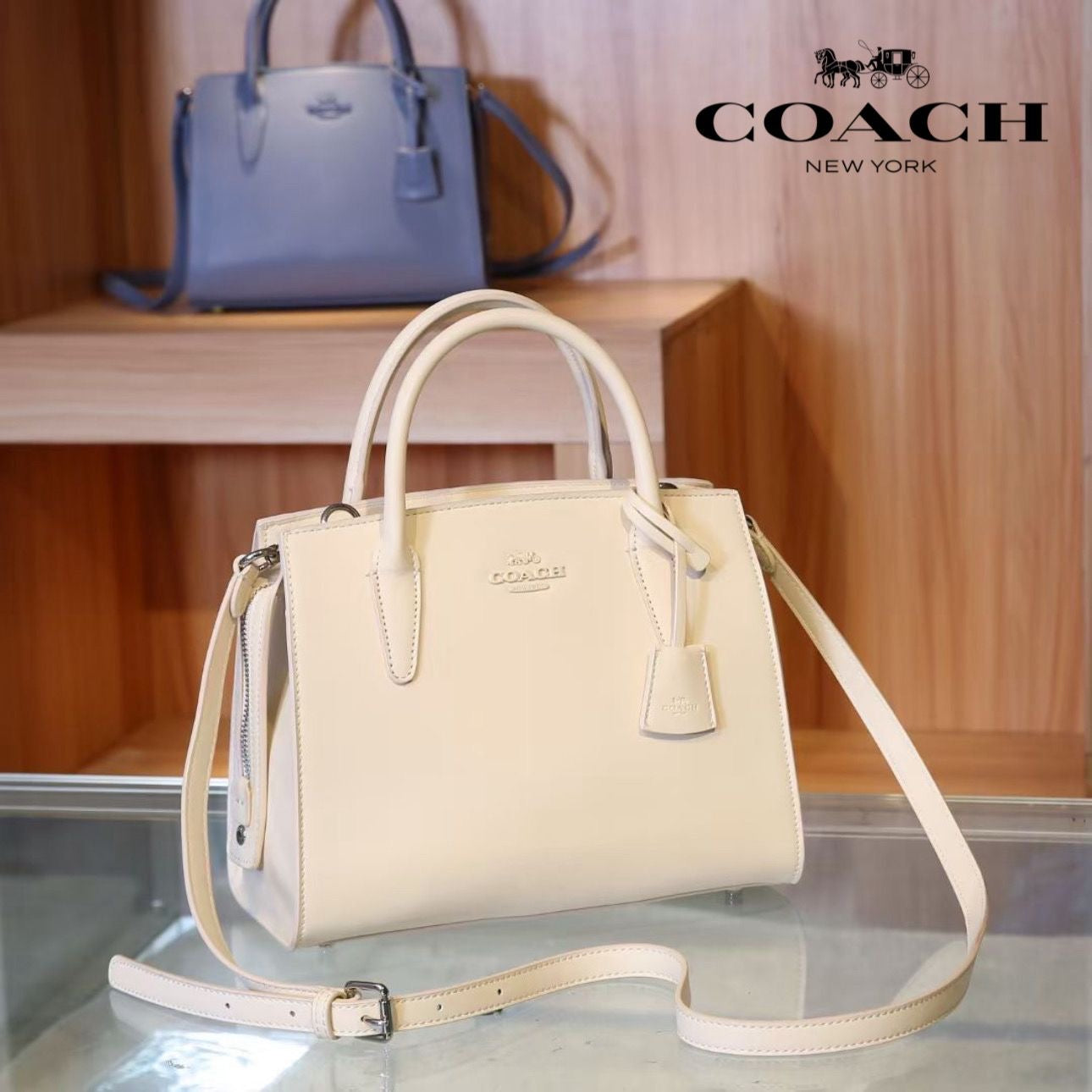 Coach Andrea Carryall Shoulder Bag