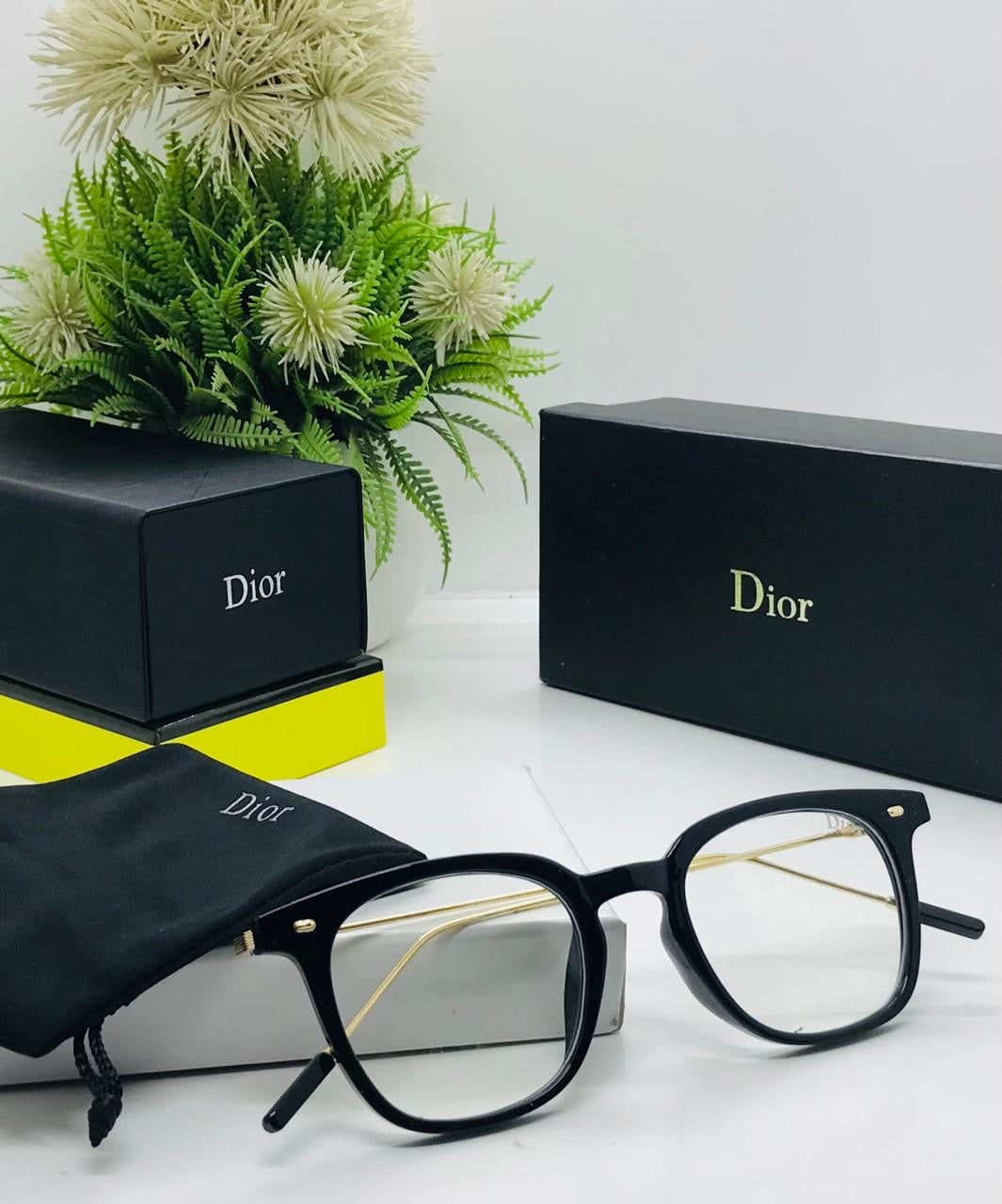 Dior Frame
