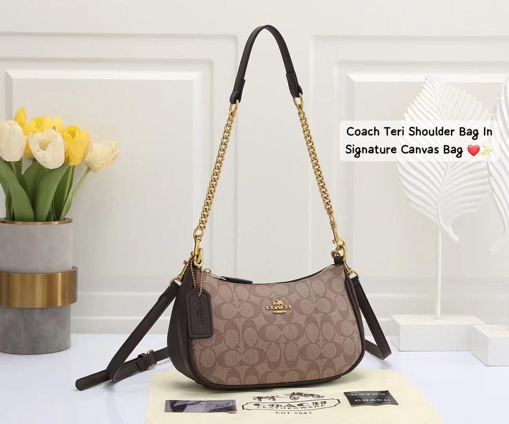 Coach Teri Signature Canvas Bag