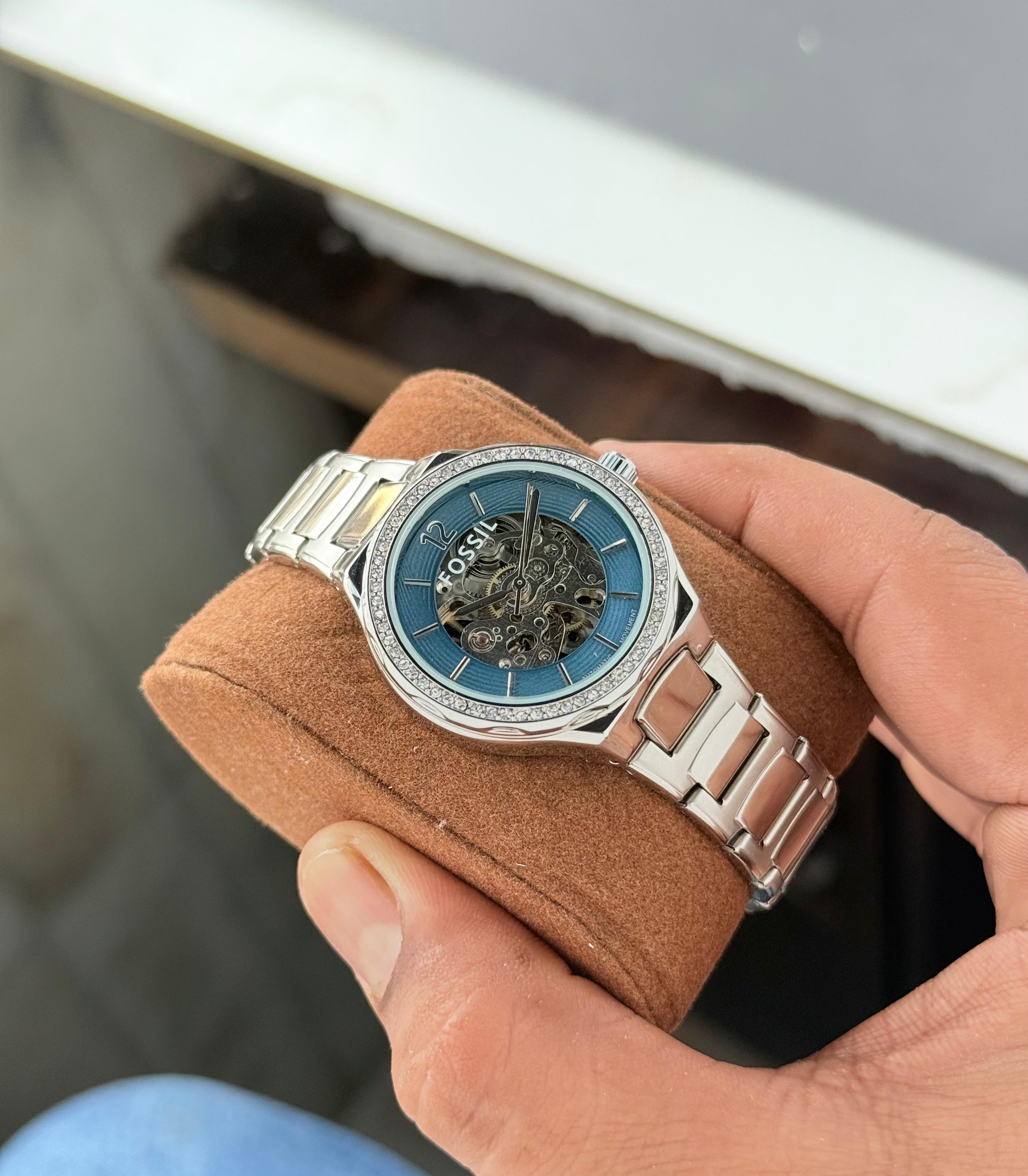 Fossil Eevie Skeleton Collection