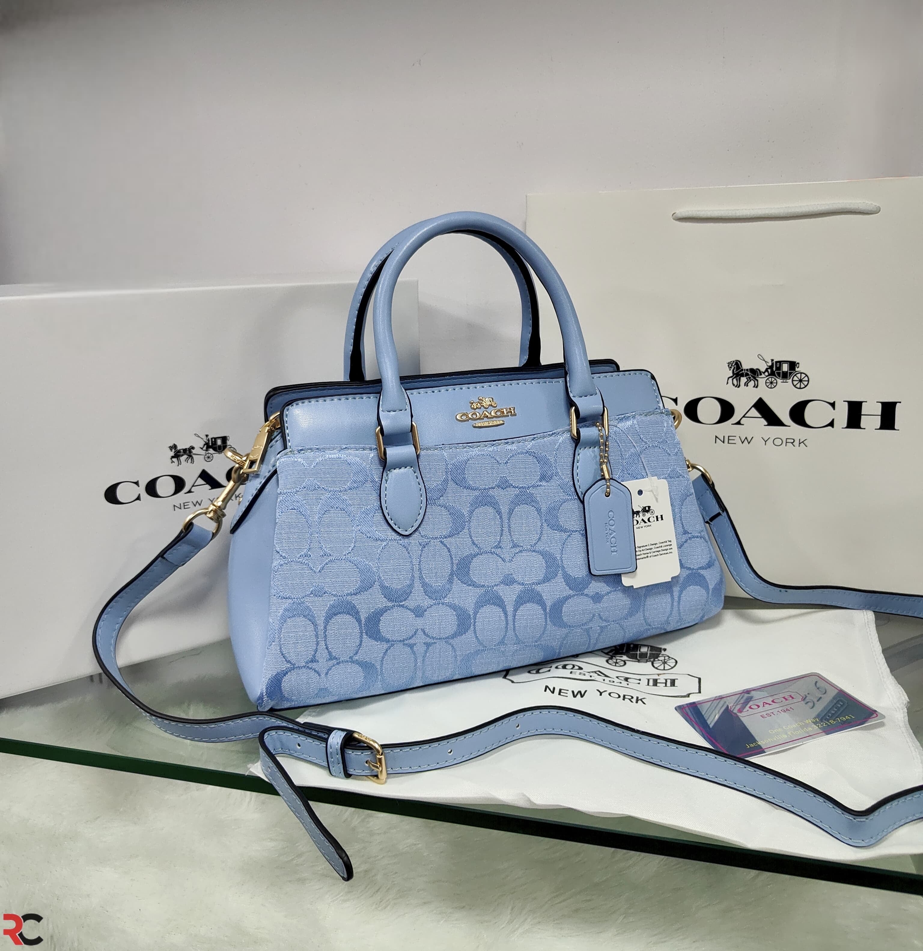 Coach Darcie Carryall