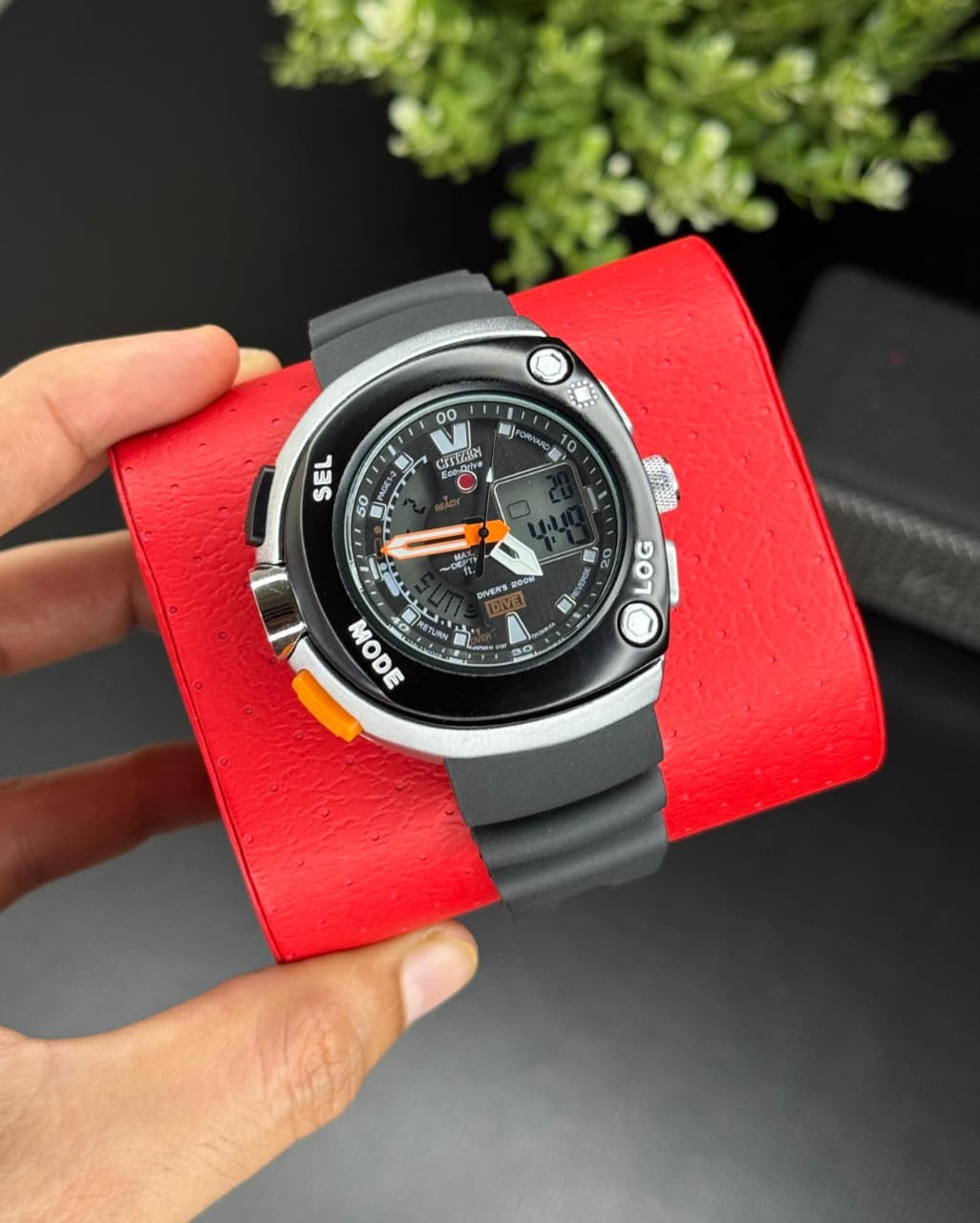 Citizen Digital Analog