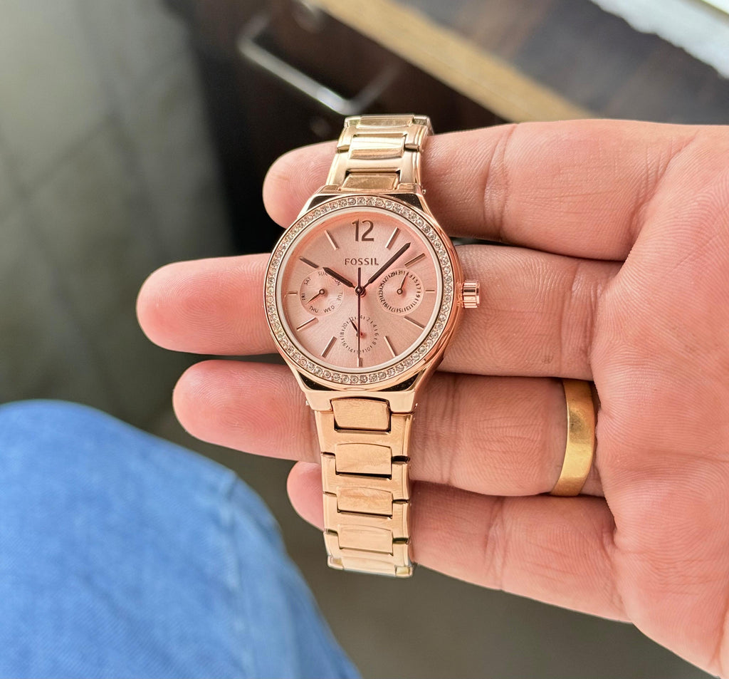 Fossil Eevie Collection