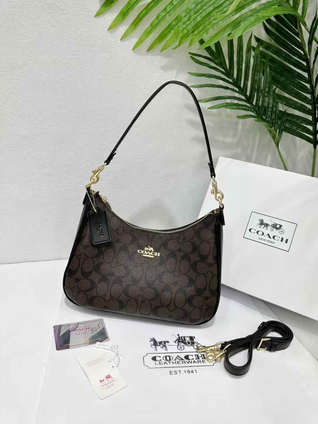 Coach Teri Hobo Shoulder Bag