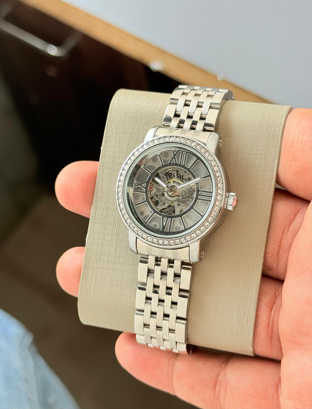 Fossil Curiosity Collection