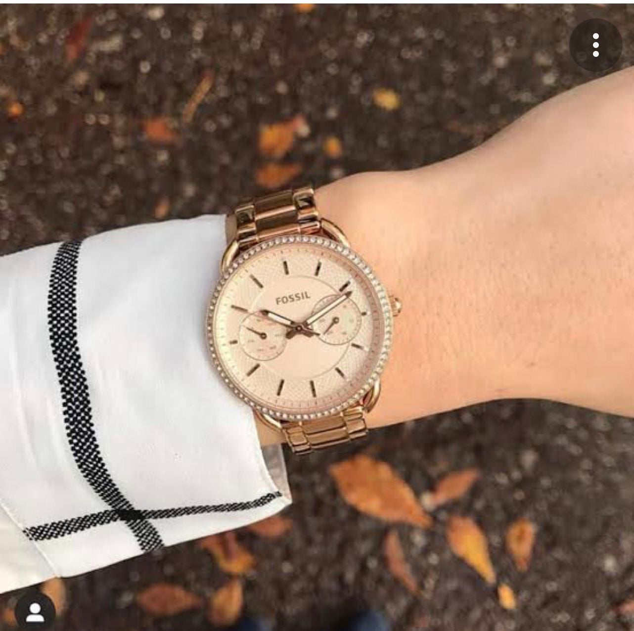 Fossil Tailor's Collection