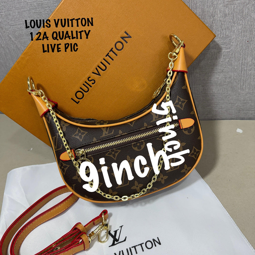 Louis Vuitton Loop Handbag