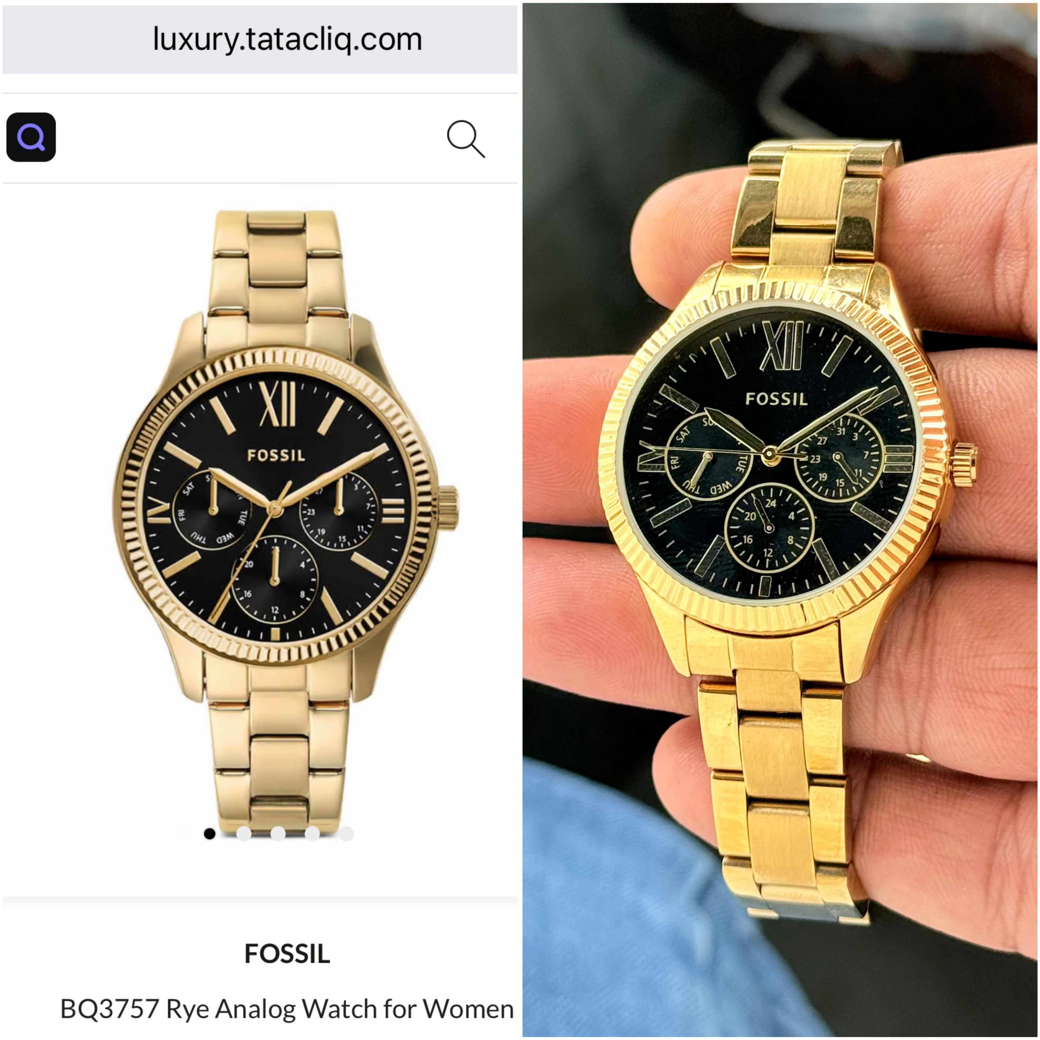 Fossil Rye Collection