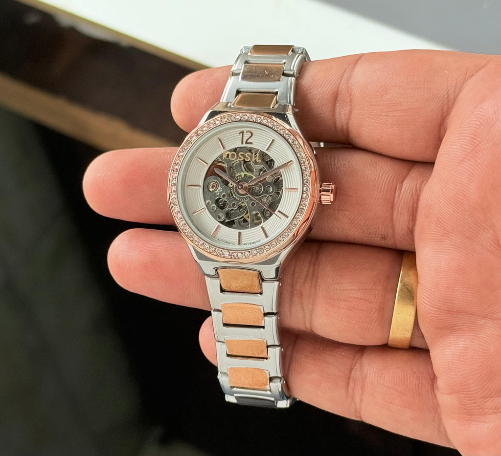 Fossil Eevie Skeleton Collection
