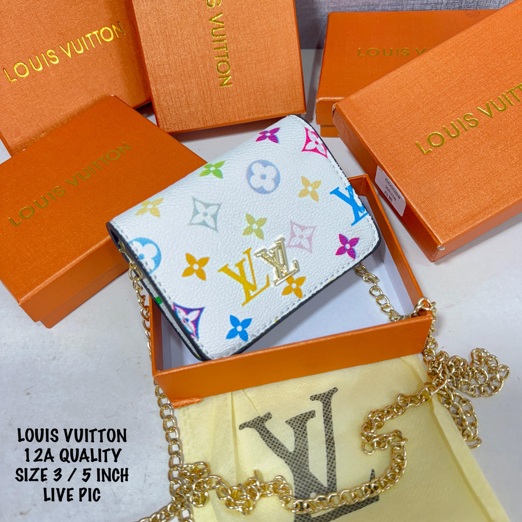 Louis Vuitton Multi Colour Wallet