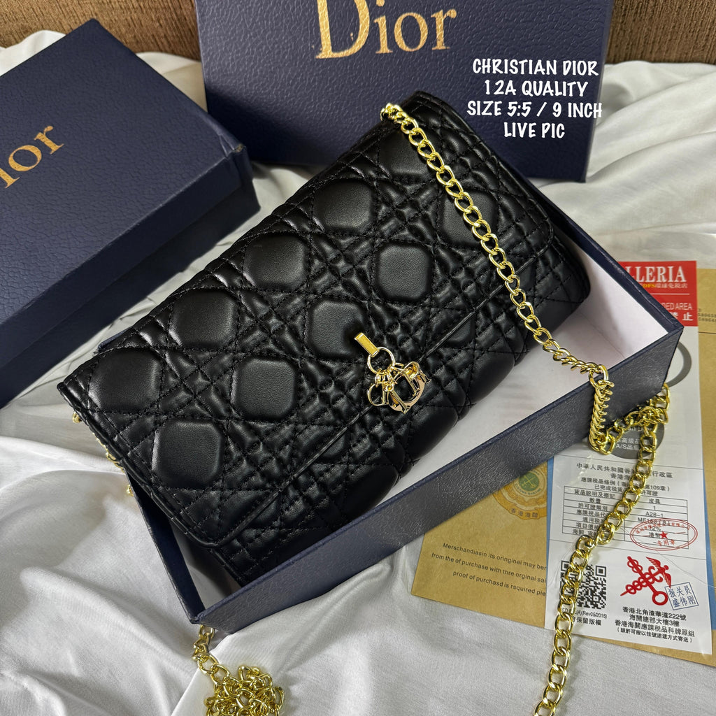 Christian Dior Crossbody Bag