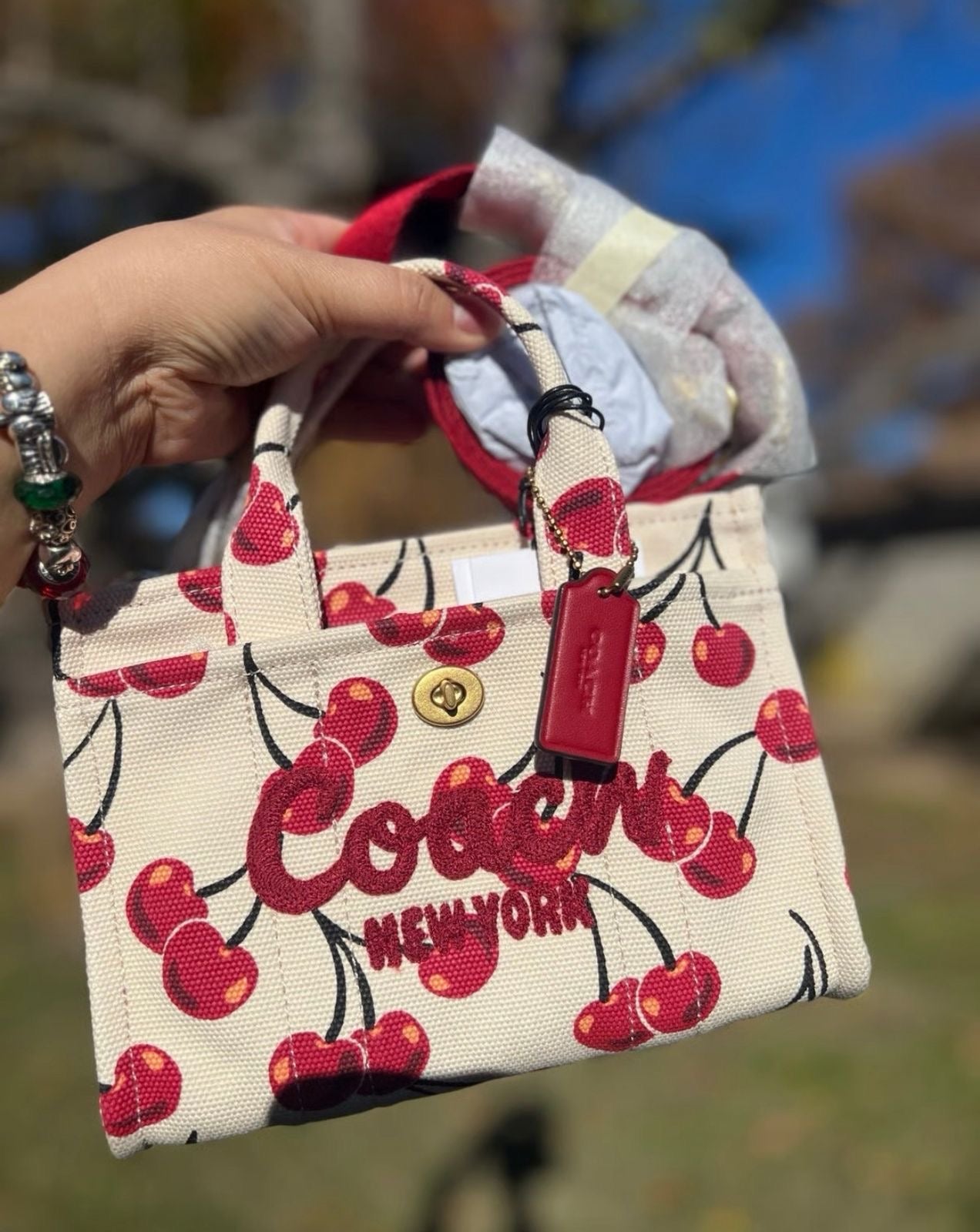 Coach Furry Mini Tote Bag