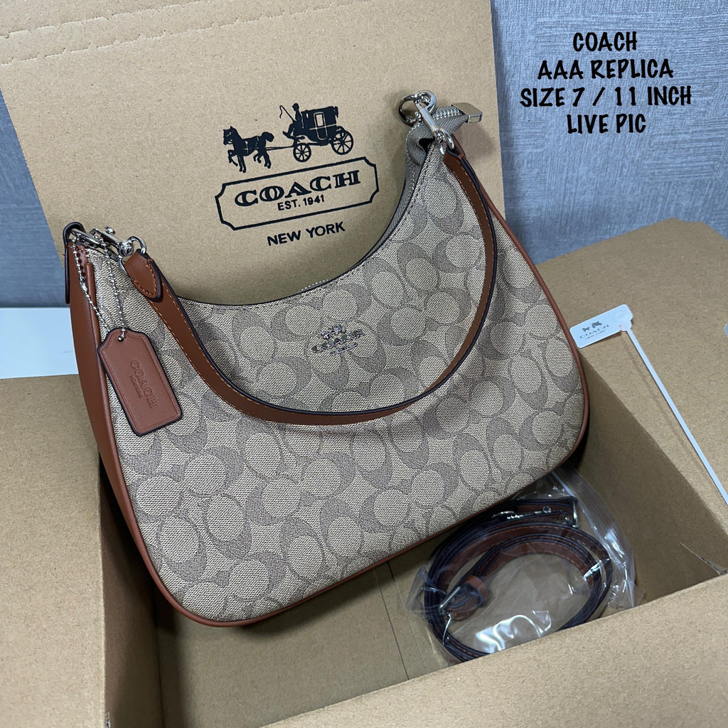 Coach Teri Hobo Shoulder Bag