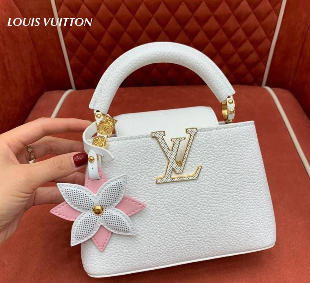 Louis Vuitton Handbag